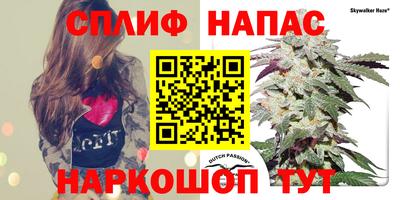 не бодяженный Нальчик