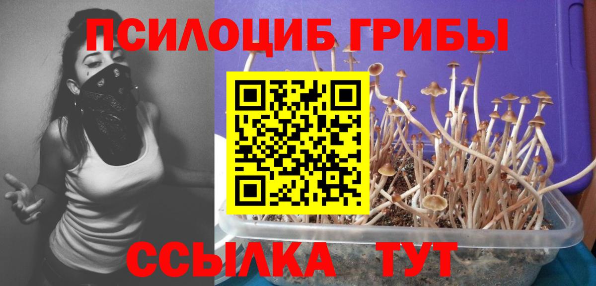 Псилоцибиновые грибы мухоморы  Вход с VPN  Губаха 